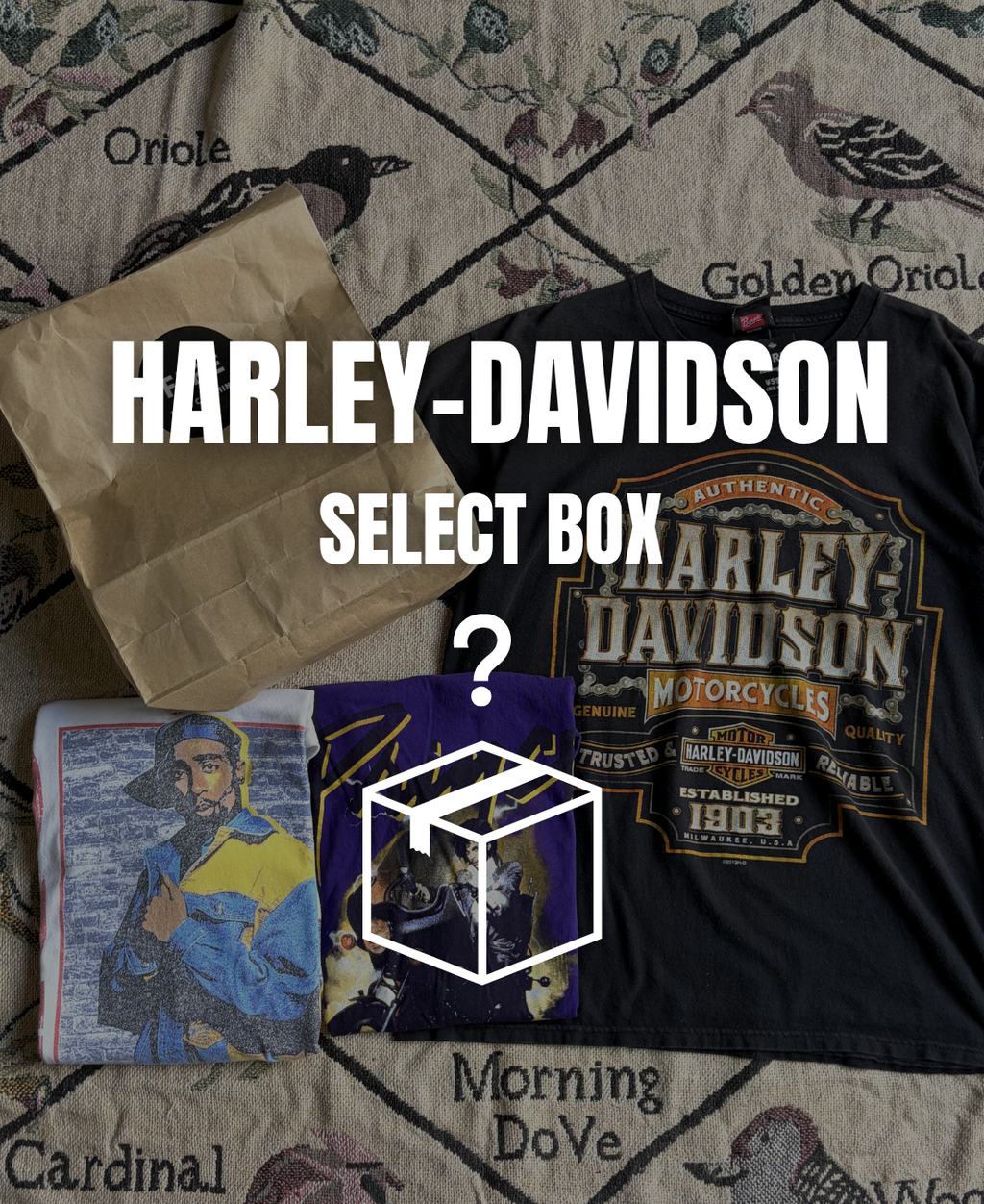 Harley-Davidson BOX
