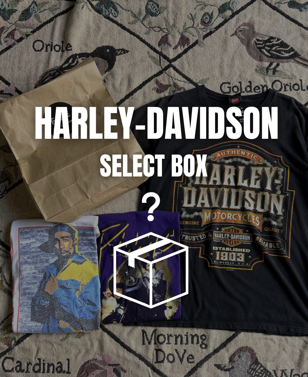 Harley-Davidson BOX